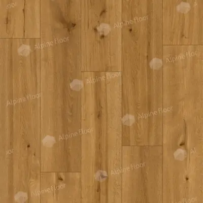gallery-photo__1
