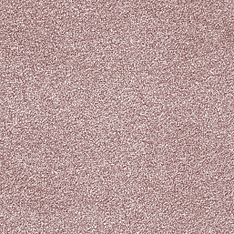 Фото - Ковролин AW Corallina 60