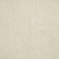 Фото - Ковролин AW Prima 30