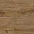 Ламинат Floorwood Paradigma Дуб Новион