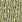 Фото - Флизелиновые обои Loymina Amazonia (1x10) Bamboo Ins7 005/1