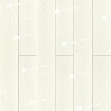 gallery-photo__1