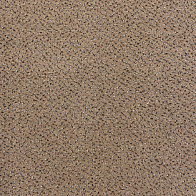 Фото - Ковролин AW Magma 49