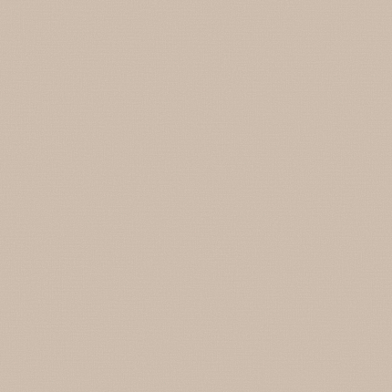 Фото - Флизелиновые обои Loymina A La Prima Plain cotton PM13 005/1