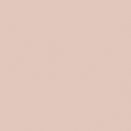 Фото - Флизелиновые обои Loymina A La Prima Plain cotton PM13 007