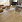 Фото - Кварцевый ламинат Alpine Floor Classic Light Клен классический