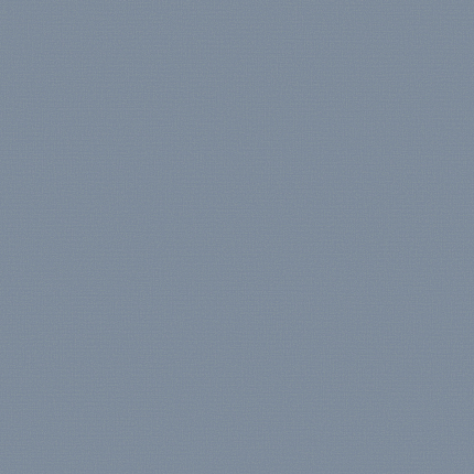Фото - Флизелиновые обои Loymina A La Prima Plain cotton PM13 018