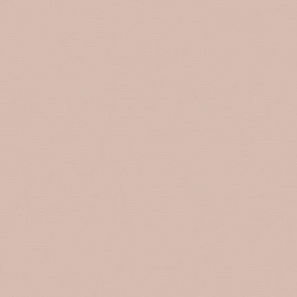 Фото - Флизелиновые обои Loymina A La Prima Plain cotton PM13 007/1