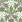 Фото - Флизелиновые обои Loymina Amazonia (1x10) Tropical Chic Ins1 005/1