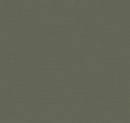 Фото - Дизайнерские обои Loymina Materials Textile Homespun TXL4 005