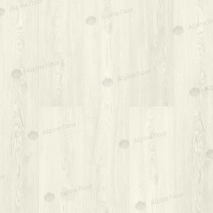 gallery-photo__1
