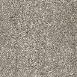 Фото - Ковролин AW Fedone 47