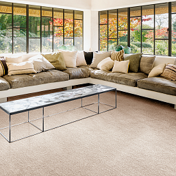 Фото - Ковролин AW Oshun 33