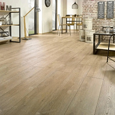 Фото - Ламинат Homflor Strong Cajun Oak