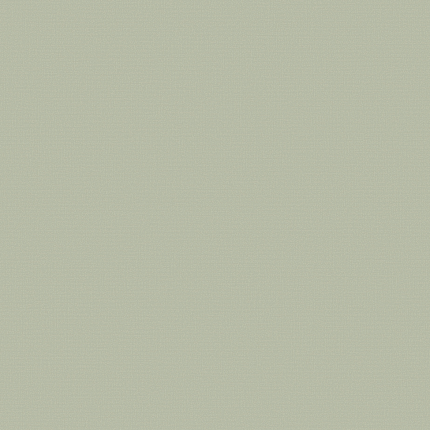 Фото - Флизелиновые обои Loymina A La Prima Plain cotton PM13 005