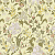 Флизелиновые обои Loymina Equator Flower Bed QTR4 005
