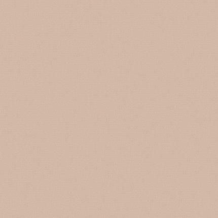 Фото - Флизелиновые обои Loymina A La Prima Plain cotton PM13 002